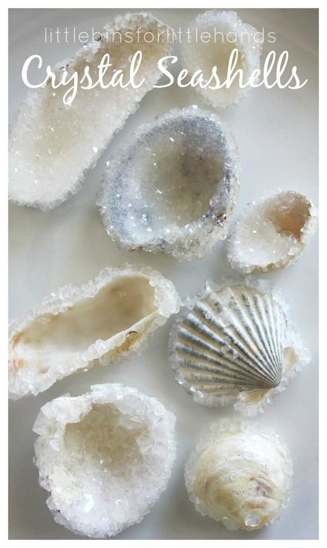 Crystal-Coated Seashells