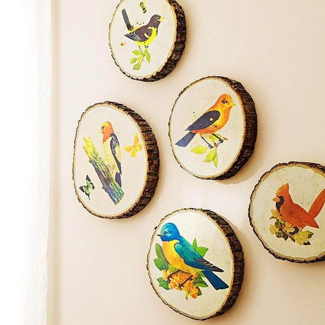 Colorful Birds On Raw Wood