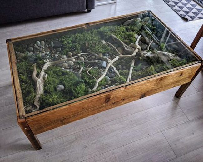 Glass-Top Wooden Terrarium Tables