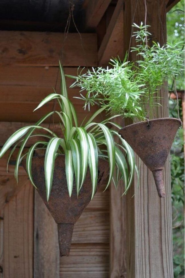Cascading Plants In Vintage Funnels