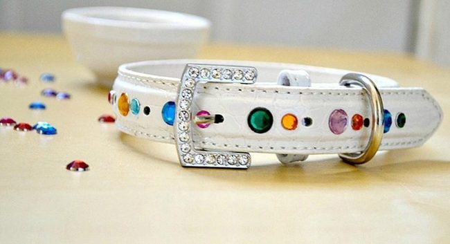 Rhinestone White Leather Collar