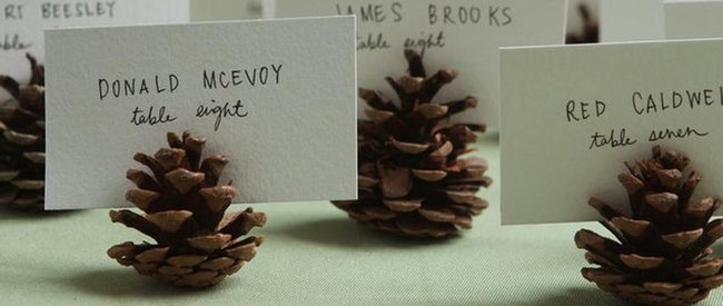 Pinecone Place Cards Natural Brown