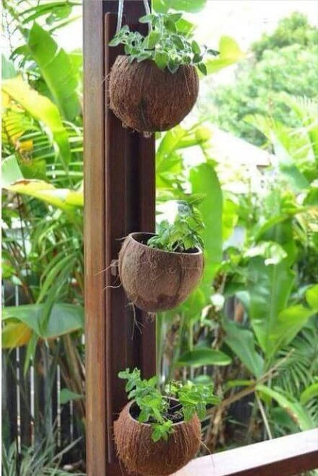 Cascading Greenery In Natural Shells