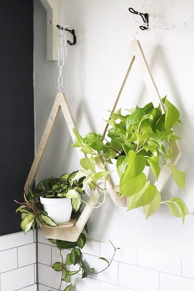 Plywood Wall Planters Cedar