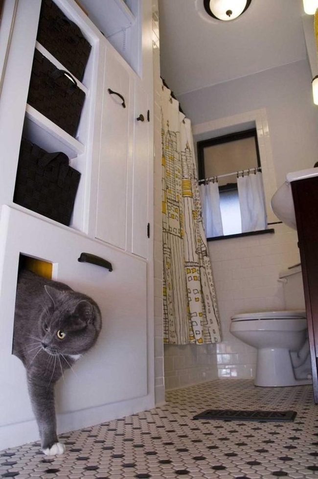 Gray Cat Hideaway Bathroom