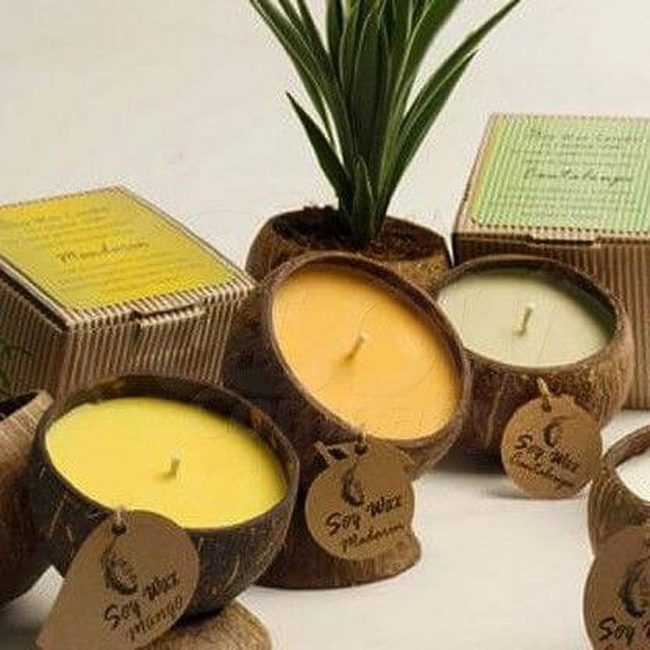 Coconut Shells Candlelight Glow