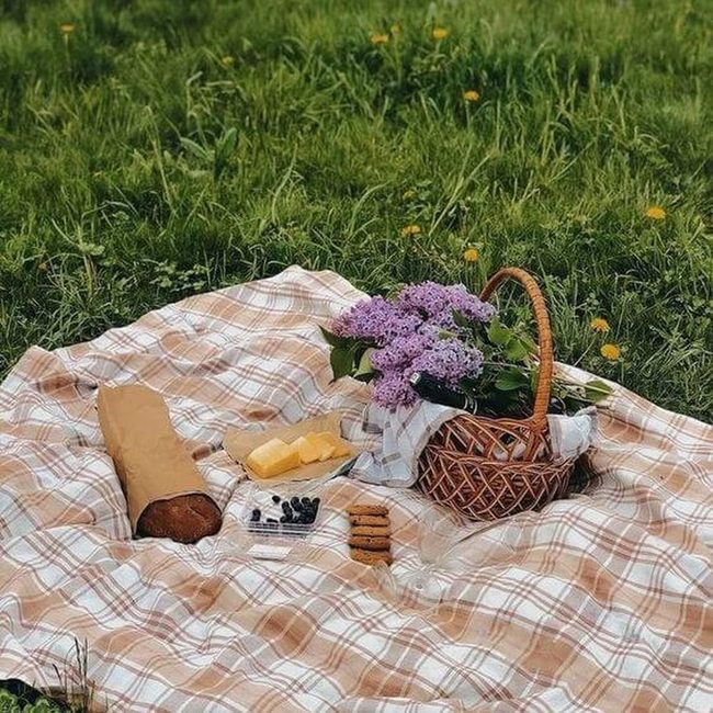 Checkered Cloth Garden Gatherings