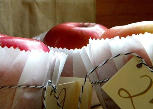 Red Apples, Black Strings, White Paper