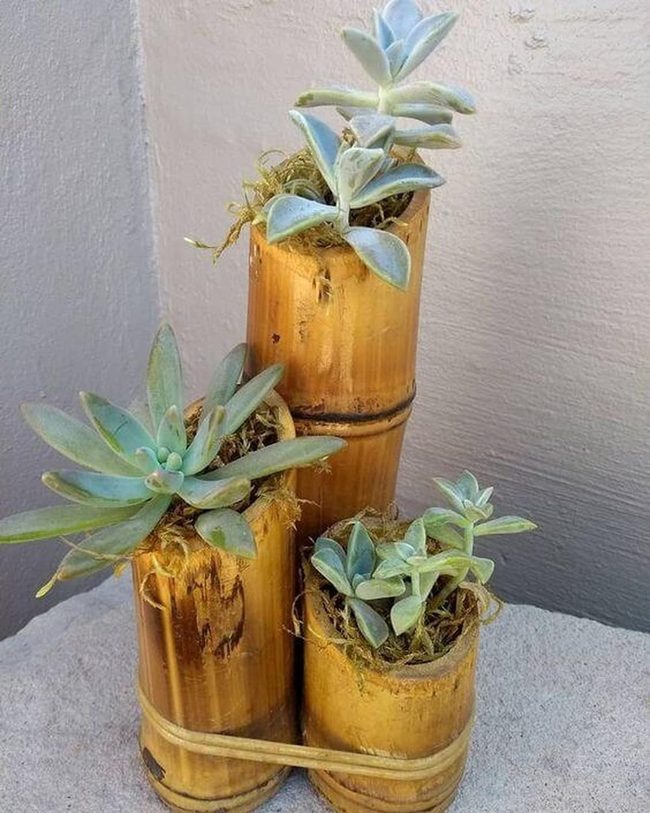 Tiered Bamboo Succulent Tower