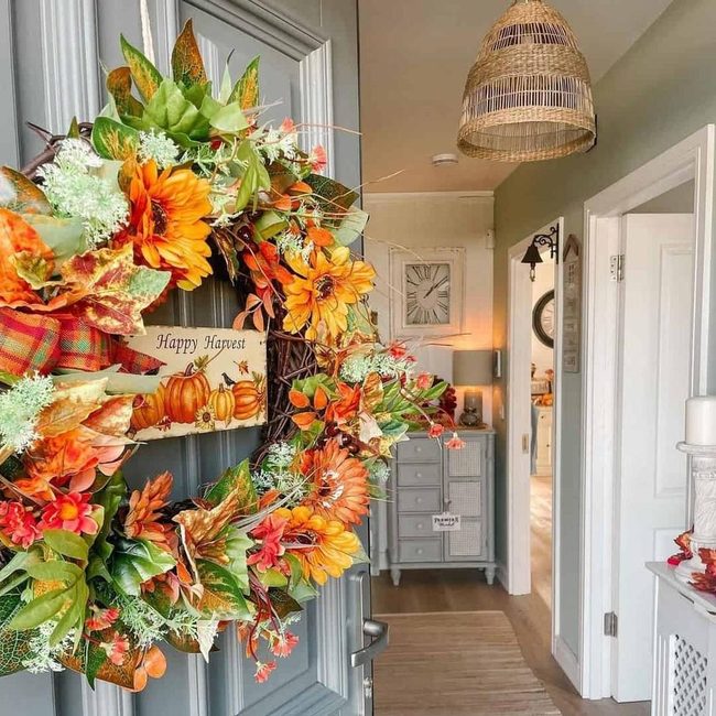 Orange Grapevine Autumn Entry