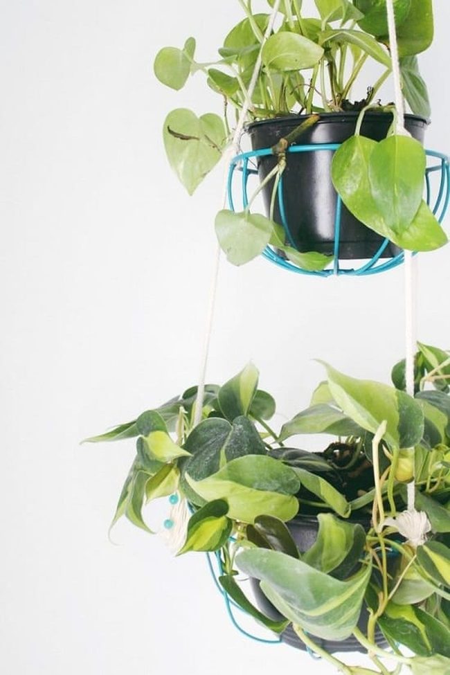 Suspended Metal Plant Geometry