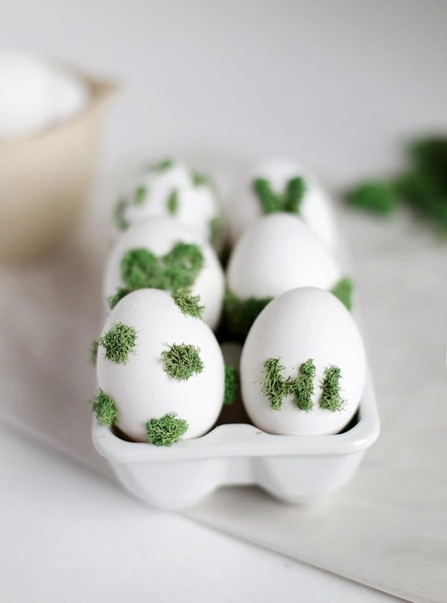 Moss-Covered Eggs With "Hi"