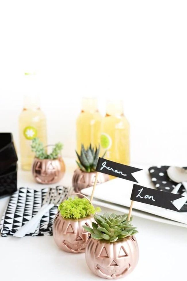 Green Succulents Halloween Table