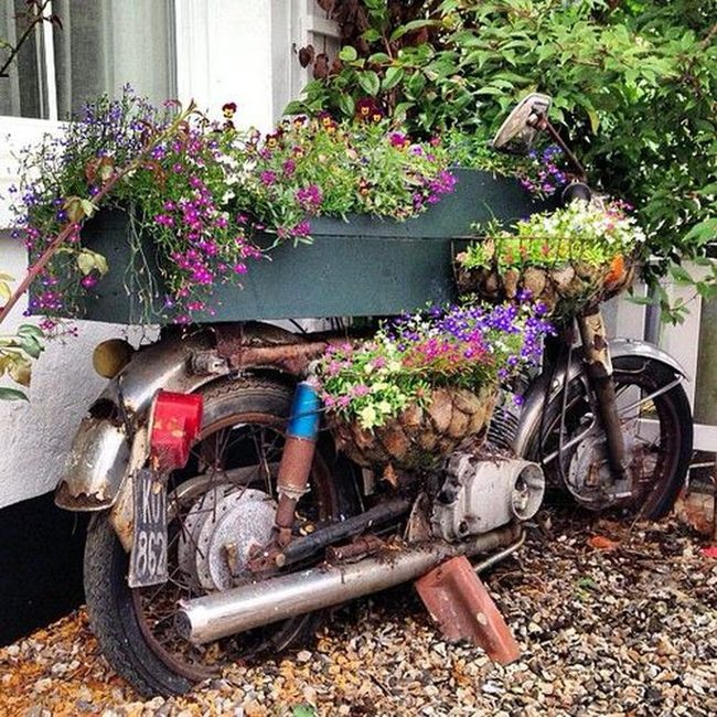 Rusted Metal Blooming Wildly