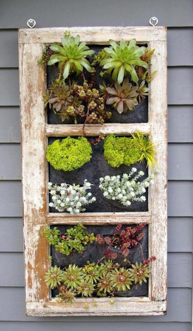 Vintage Window Succulent Wall