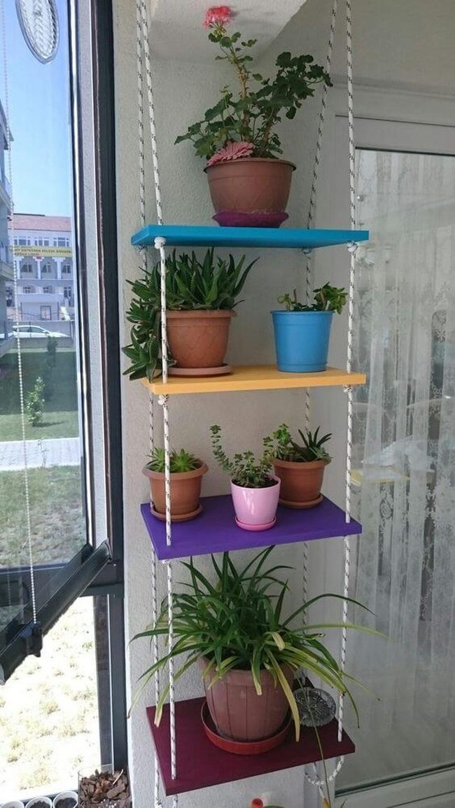 Green Wall Plant Shelves