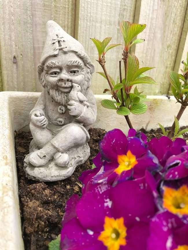 Concrete Gnome And Bird Companions