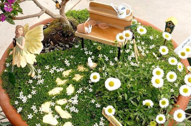 Pink Daisies Green Moss Miniature Garden