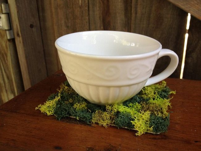 White Ceramic, Green Moss Contrast