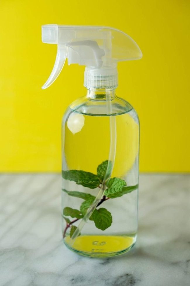 Mint Spray On Yellow