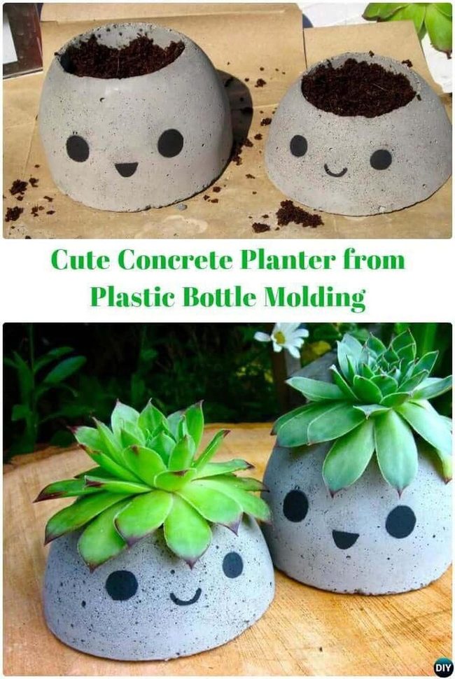 Concrete Planters, Living Color
