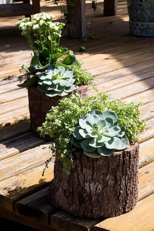 Bark Planters, Green Garden Deck
