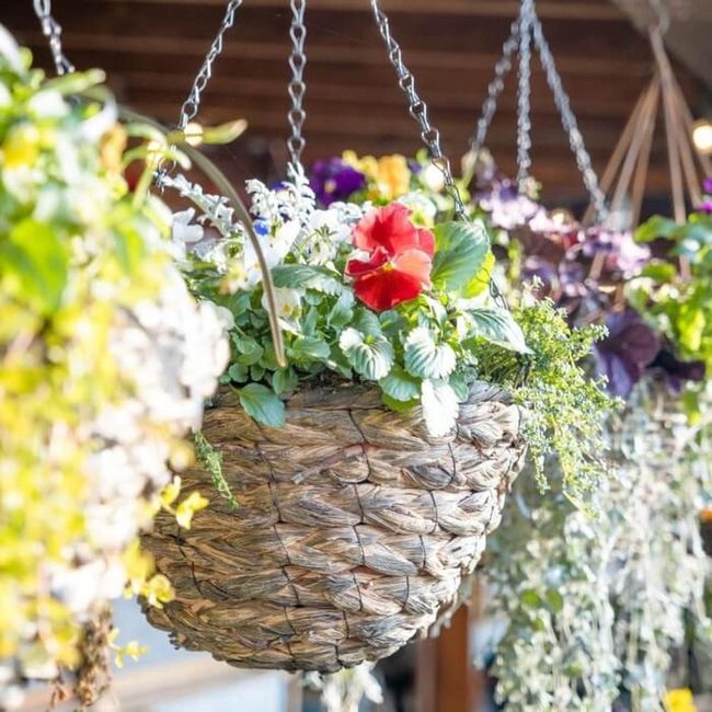 Cascading Blooms Screen Garden