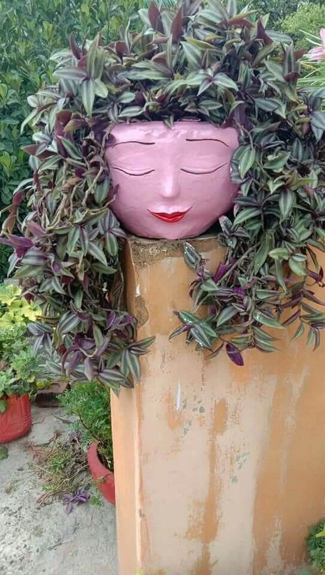 Pink Face Planter Garden