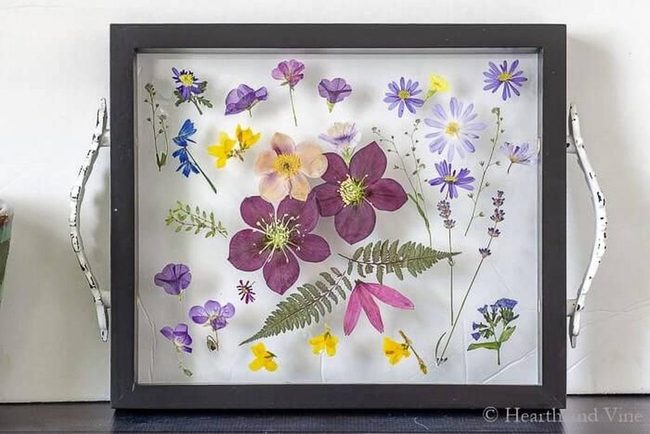 Framed Coffee Beans Tray