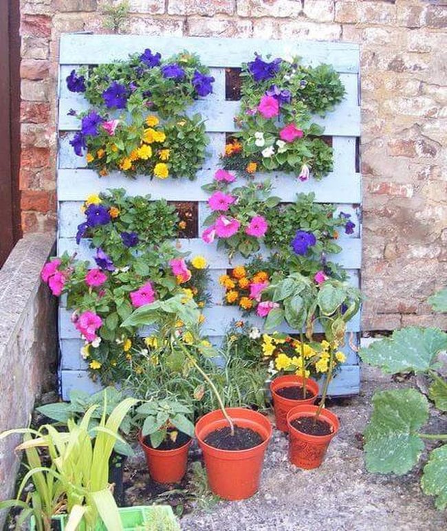 Wooden Pallet Flower Wall