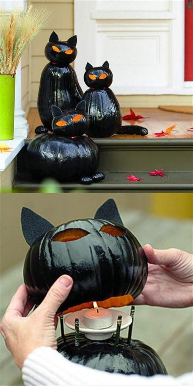 Black Pumpkin Cat Silhouette