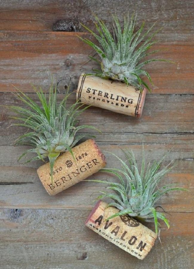 Magnetic Cork Mini Gardens