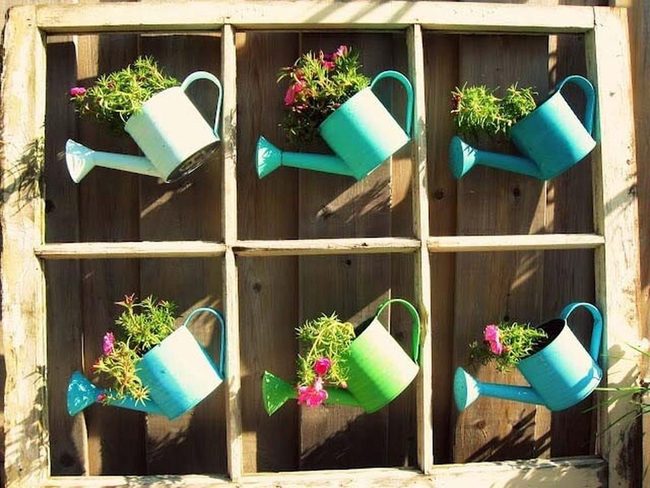Vintage Window Frame Plant Wall