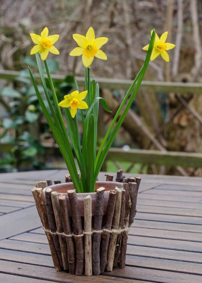 Stick-Wrapped Plant Pots