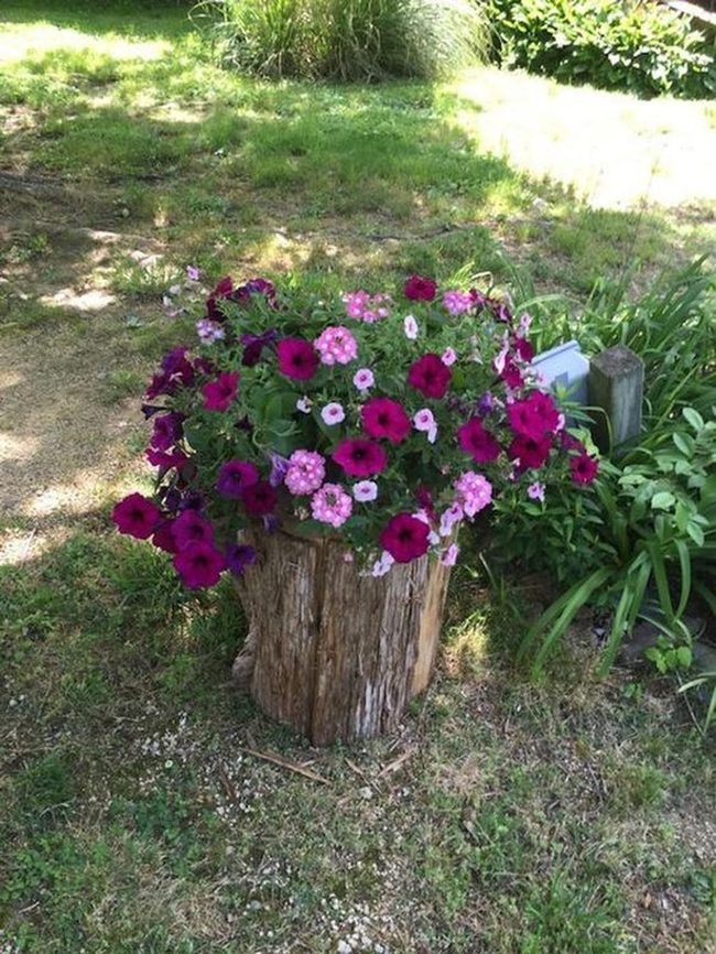 Blooming Tree Stump Garden