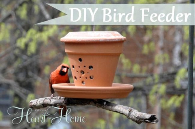 Terracotta Cardinal Feeder