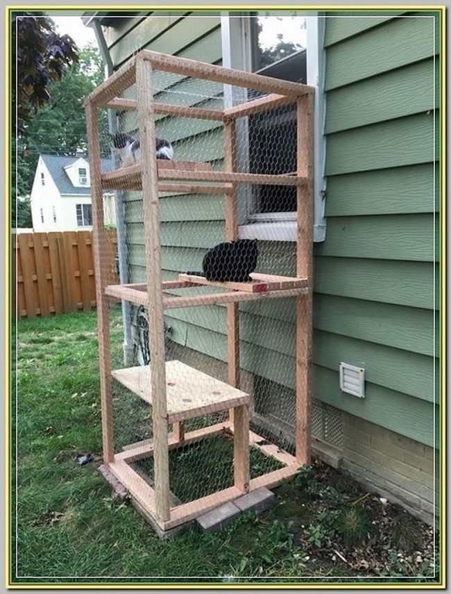 Tiered Wooden Cats Climbing Platform