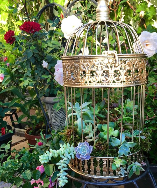 Gold Birdcage With Cascading Greens