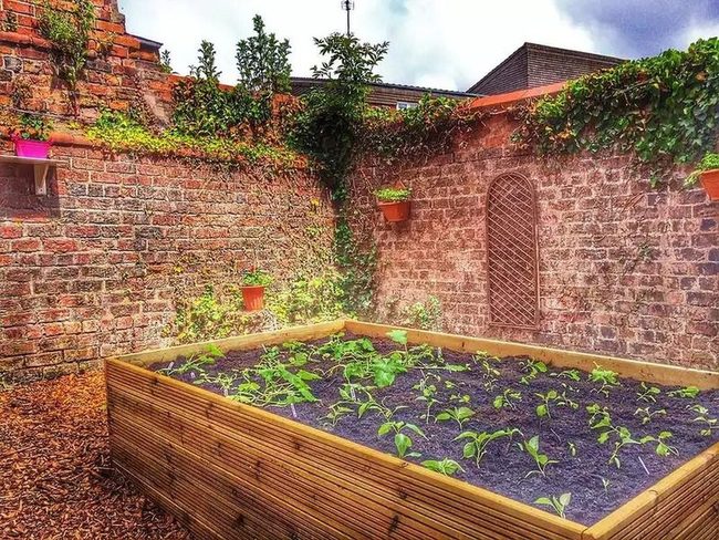 Stacked Lumber Garden Bed Budget