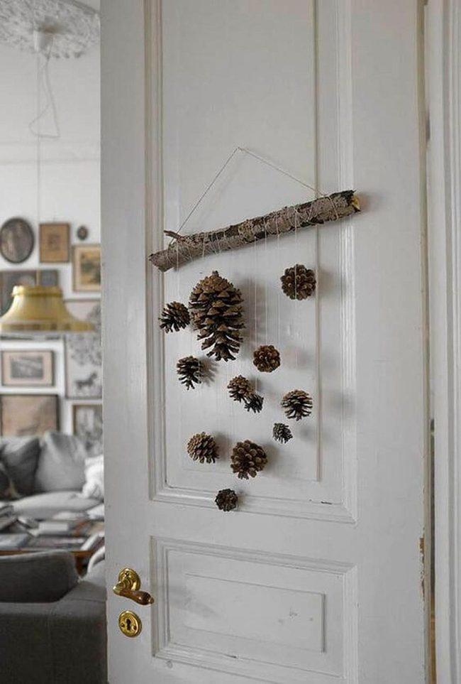 Natural Pine Cone Motion