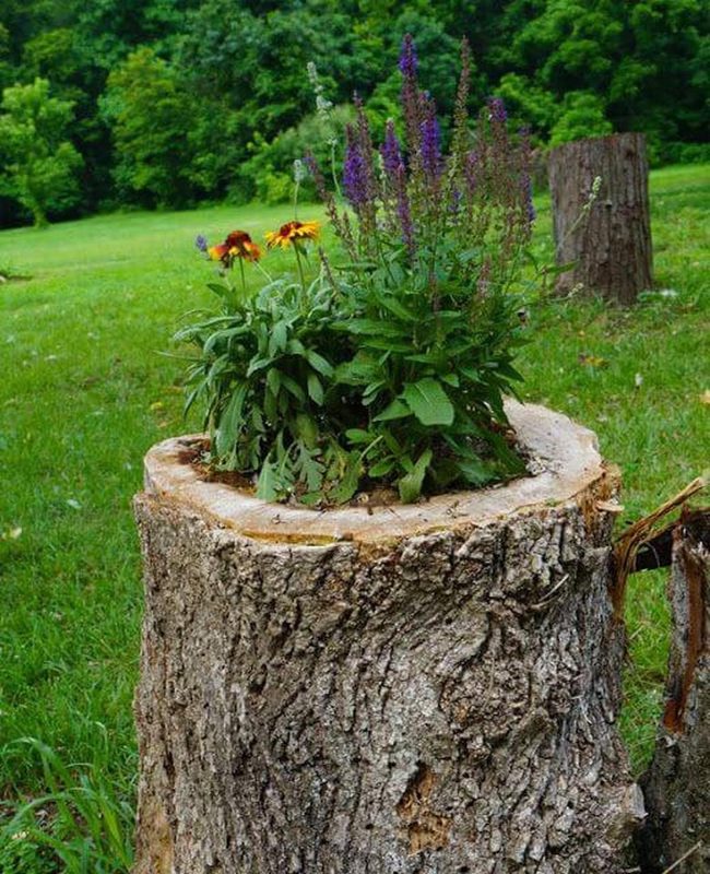 Weathered Wood Stump Planters