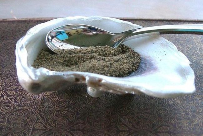 Glossy Oyster Shell Spice Scoop