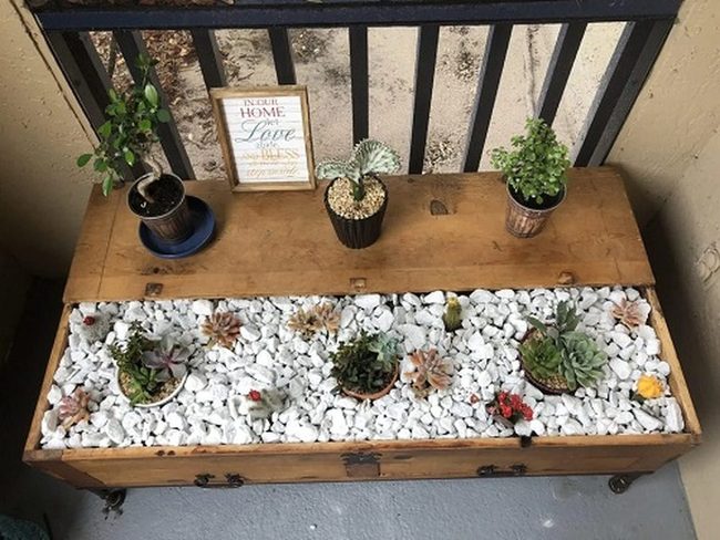 Wooden Chest Plant Containers
