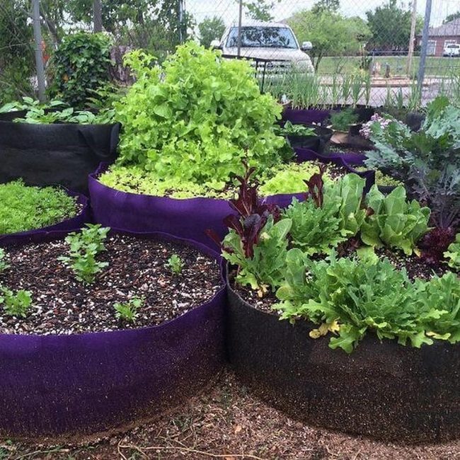 Fabric Garden Beds, Instant Setup