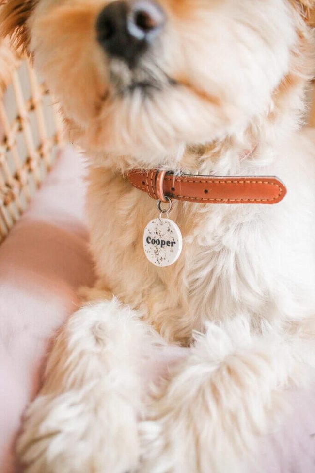 Marbled Resin Pet Tags