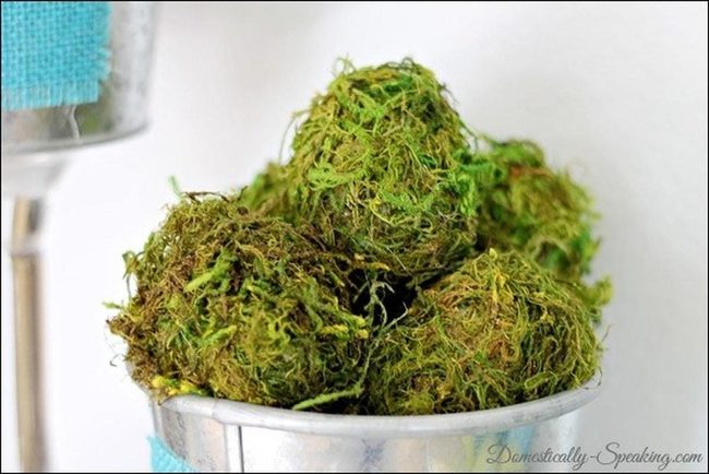 Green Moss Spheres Blue Accent
