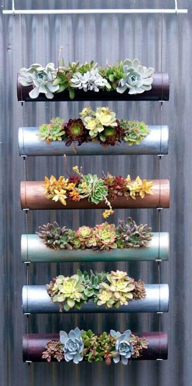 Vertical Succulent Wall Garden