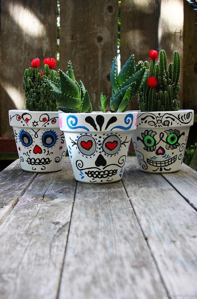 Skull Pots, Living Color