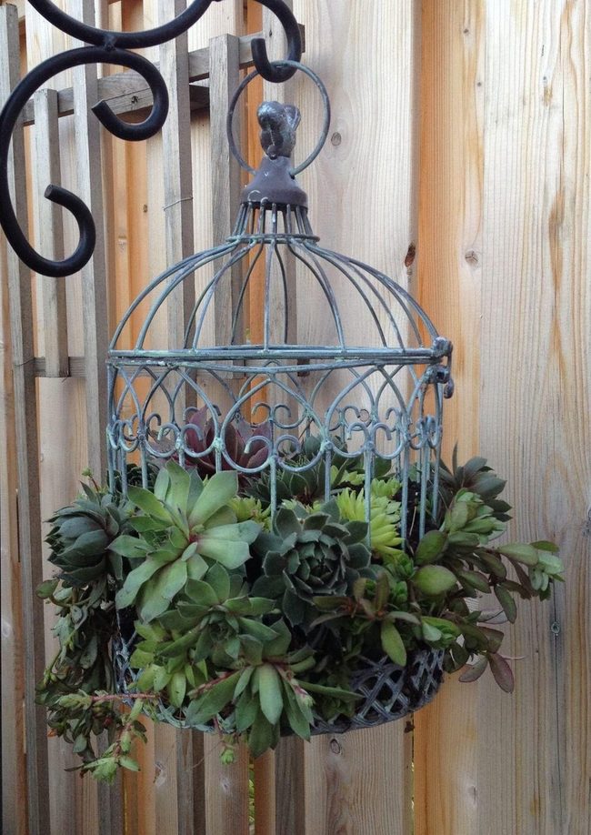 Vintage Birdcages Overflowing With Blooms
