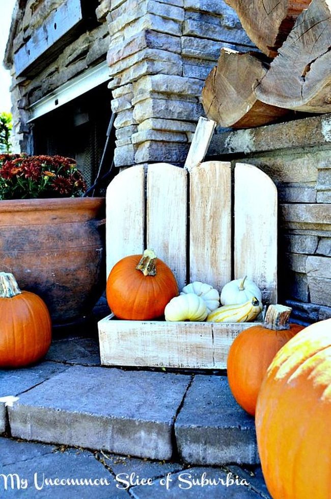 Orange Pumpkins Against Stone